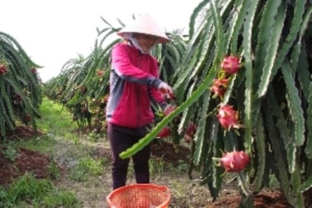 Erweiterung des Exportmarktes landwirtschaftlicher Produkte